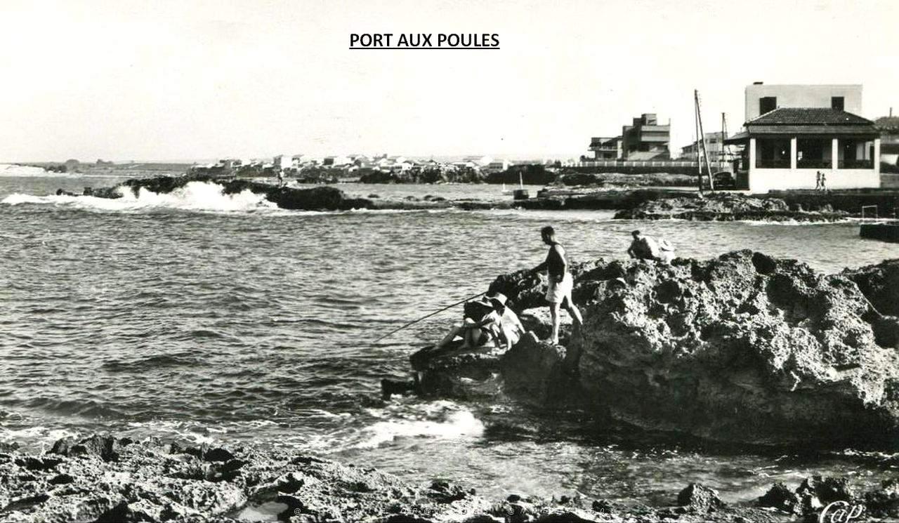 Port aux poules 110.jpg